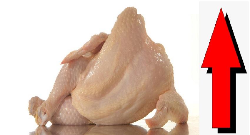 Тушка бройлерного цыпленка. Инфекционная бурсальная болезнь кур. Цвет кожи курицы. Цвет кожи курицы. Обморожение гребешков у кур.