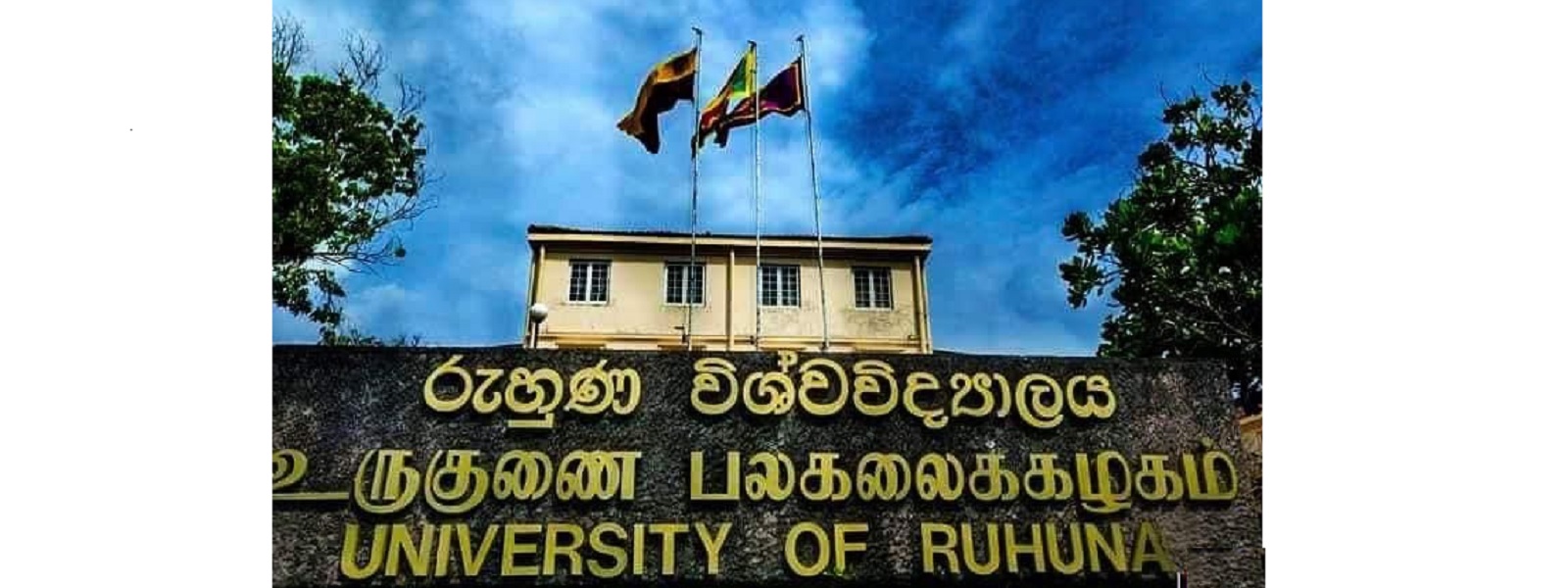 ஆய்வு நடவடிக்கைகளில் இருந்து ருஹுணு பல்கலை விலகல்