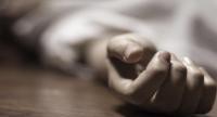 மரத்திலிருந்து தவறிவீழ்ந்து ஒருவர் பலி