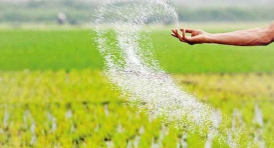 உர மோசடி தொடர்பில் விசாரணை