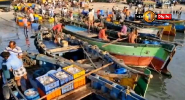 உலர் மீன் உற்பத்தியை அதிகரிக்க நடவடிக்கை..