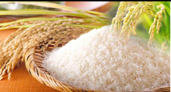 இதுவரை 11,000 மெட்ரிக் தொன் நெல் கொள்வனவு