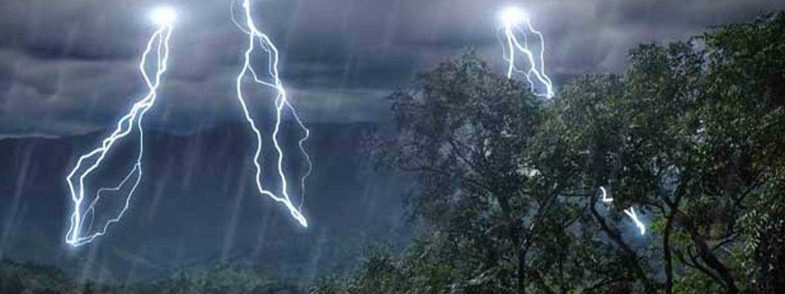 கடும் காற்றுடன் பலத்த மழை