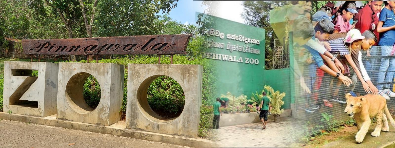 மீள திறக்கப்பட்ட மிருகக்காட்சிச்சாலைகள்