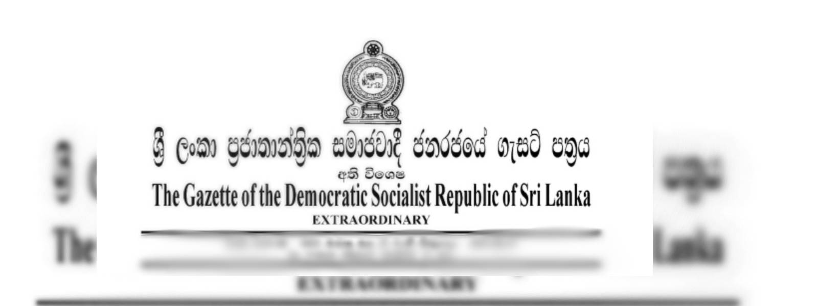 இறக்குமதி கொடுப்பனவுகளுக்கு அதிவிசேட வர்த்தமானி